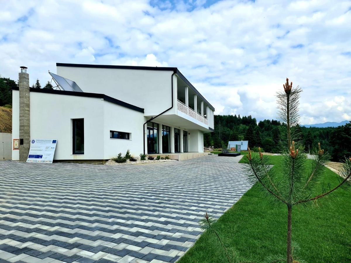 Pensiunea Ddc Colibita Exterior photo